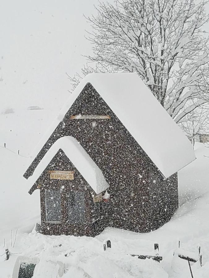 Koliba Cincila Villa Žabljak Exteriör bild